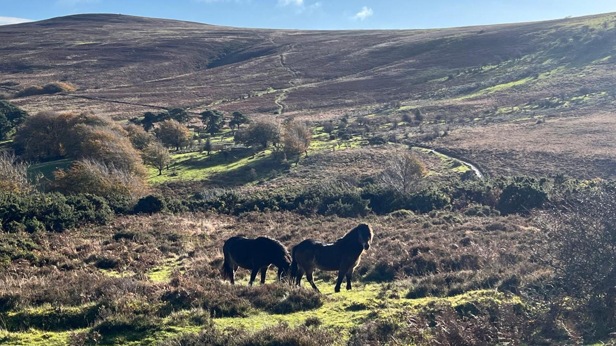 Exmoor Retreat On Two Moors Way Withypool Exterior photo